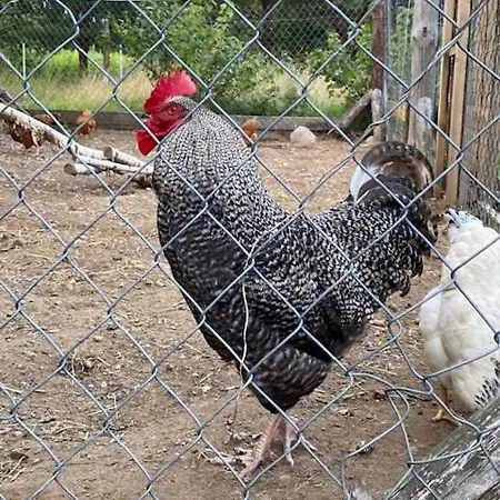 Wymoj Park Ubytování v soukromí