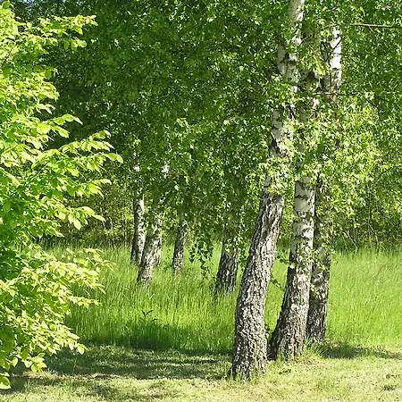 Wymoj Park Rum i privatbostad *