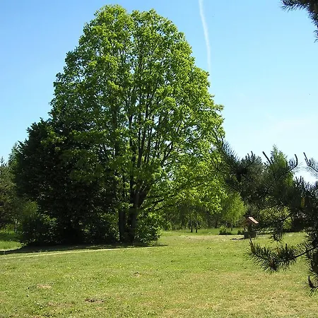 Wymoj Park Stawiguda